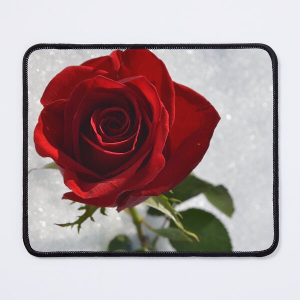 Item preview, Red rose on white snow designed and sold by Ideas-BYDESiGN.