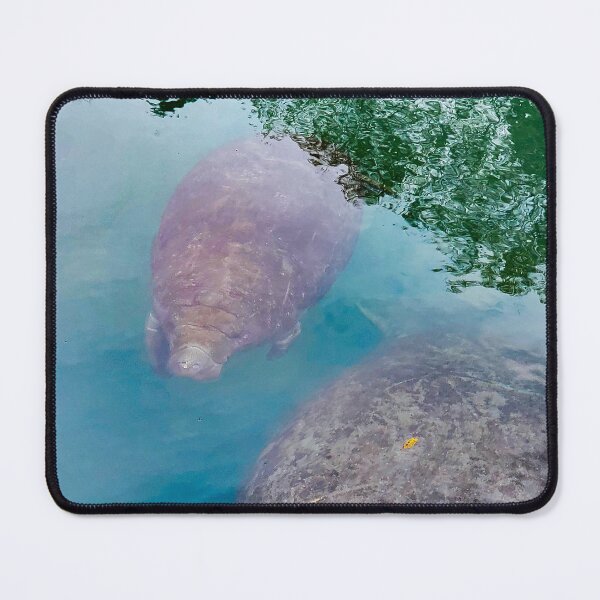 Item preview, Baby Manatee and Mama designed and sold by dharmatilley.