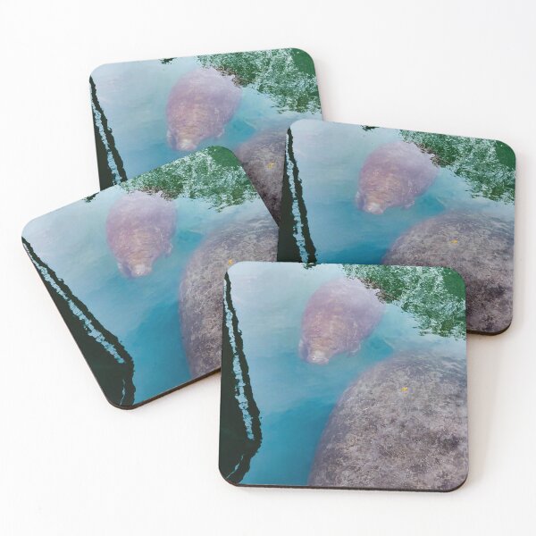 Item preview, Baby Manatee and Mama designed and sold by dharmatilley.