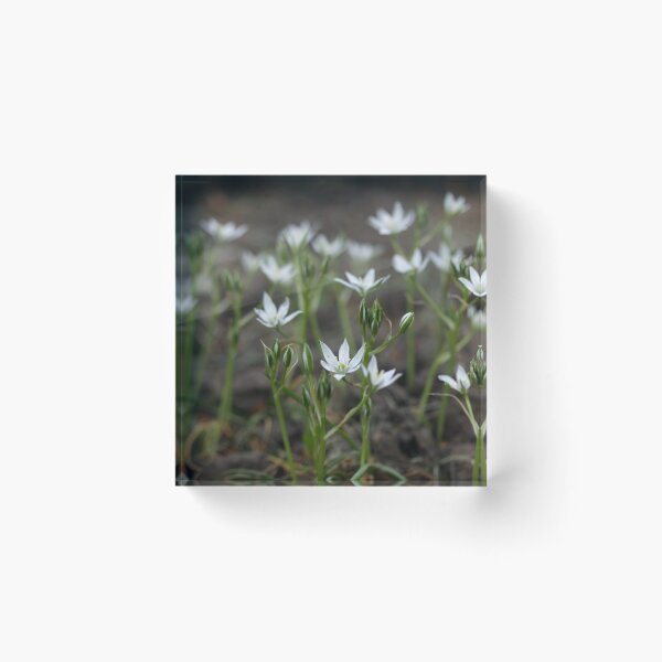 Item preview, Small white flowers on nature background designed and sold by olena2552.