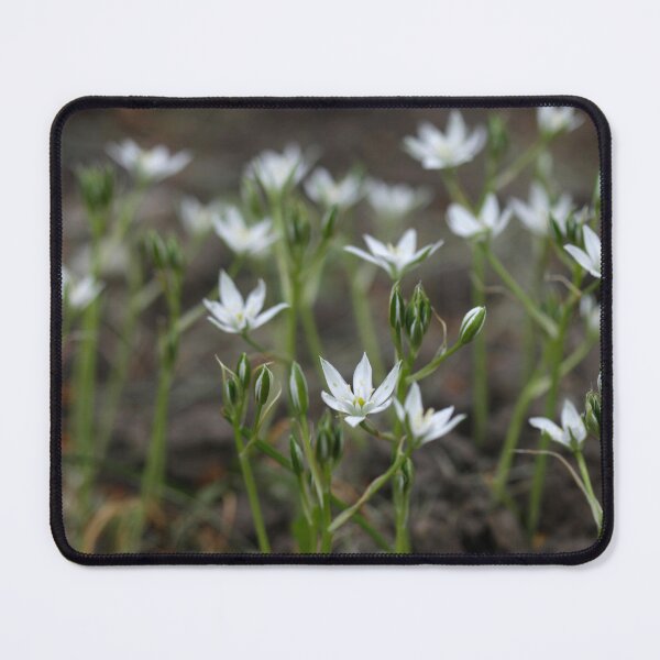 Item preview, Small white flowers on nature background designed and sold by olena2552.