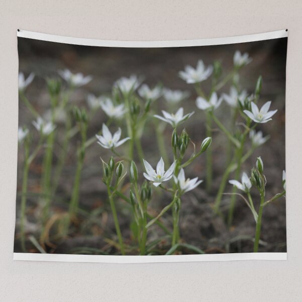 Item preview, Small white flowers on nature background designed and sold by olena2552.