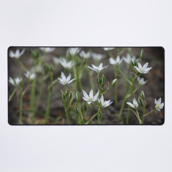 Item preview, Small white flowers on nature background designed and sold by olena2552.