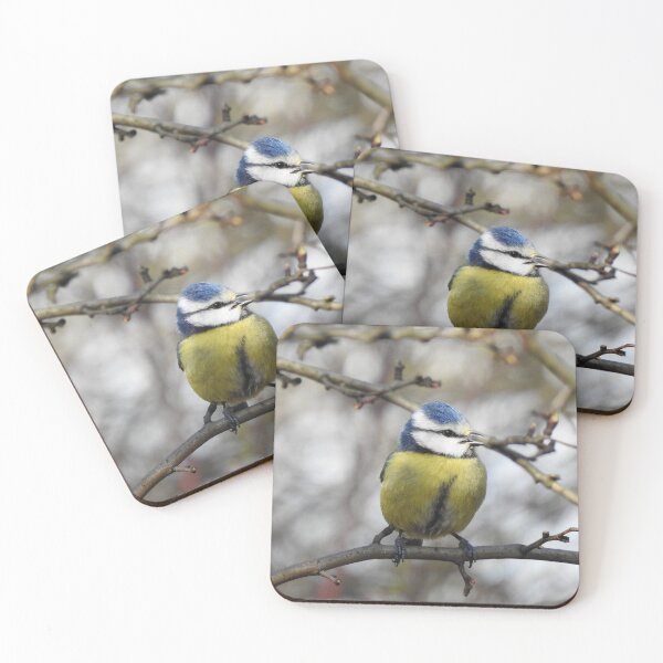 Item preview, Blue Tit close-up designed and sold by TwistedClassics.