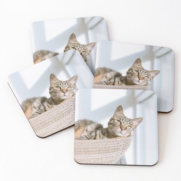 Item preview, A cat watching outside designed and sold by Fresh Ink Studio.