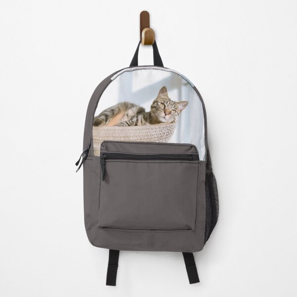 Item preview, A cat watching outside designed and sold by Fresh Ink Studio.