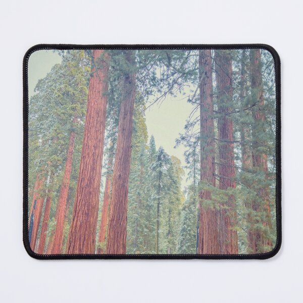 Item preview, Giant Sequoias designed and sold by jvnimages.