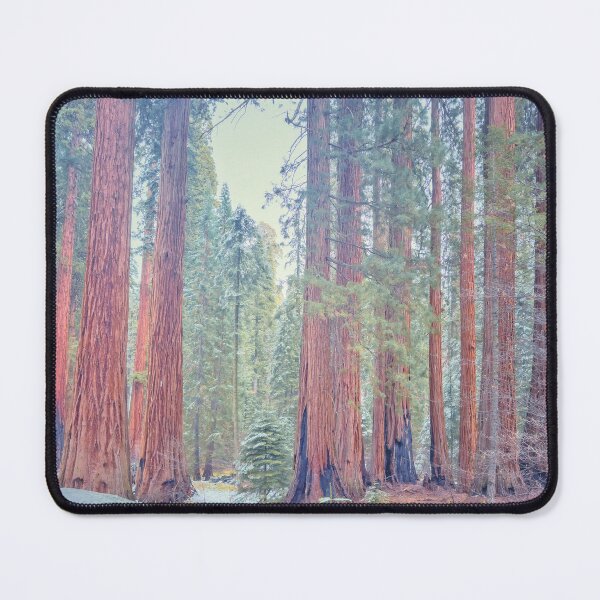 Item preview, Giant Sequoias  designed and sold by jvnimages.