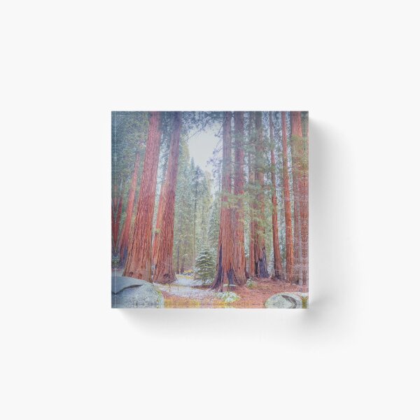 Item preview, Giant Sequoias designed and sold by jvnimages.