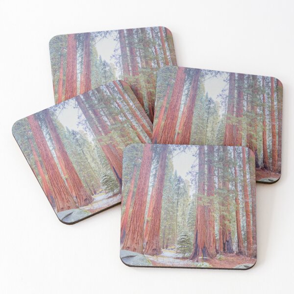 Item preview, Giant Sequoias designed and sold by jvnimages.