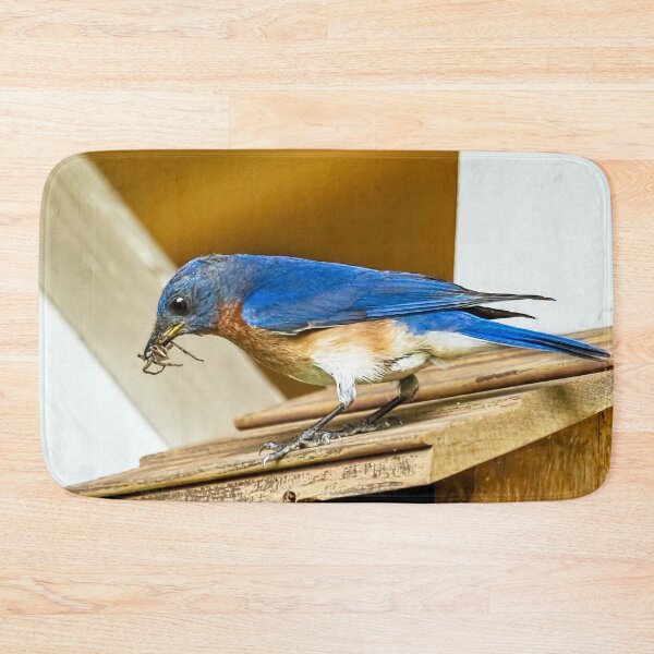 Item preview, Daddy Bluebird Brings Dinner  designed and sold by Kay Brewer.