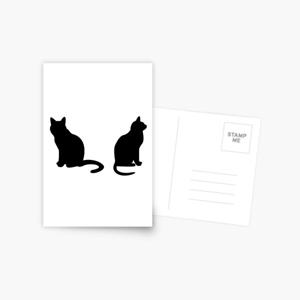 Black cat  Postcard