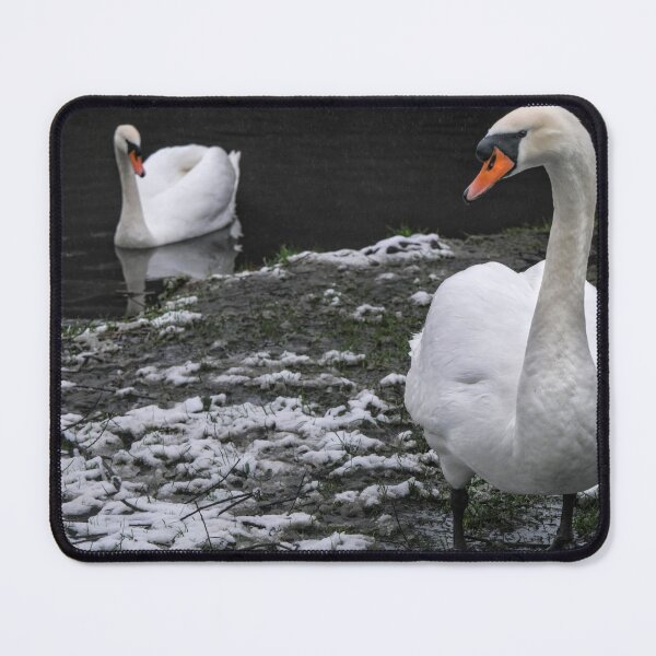 Item preview, Swans designed and sold by jasminewang.