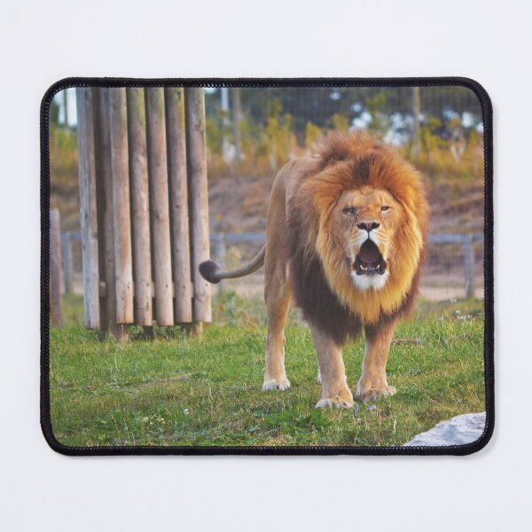 Item preview, Roaring lion designed and sold by Fresh Ink Studio.