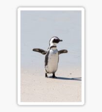Beach Penguin Sticker