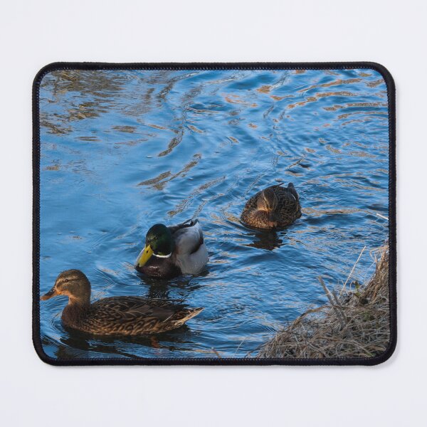 Item preview, Ducks designed and sold by jasminewang.