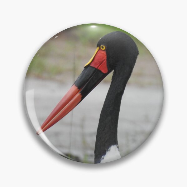 Item preview, Saddle Billed Stork designed and sold by Faunagraphy360.