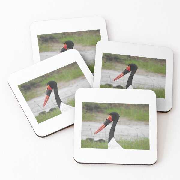 Item preview, Saddle Billed Stork designed and sold by Faunagraphy360.