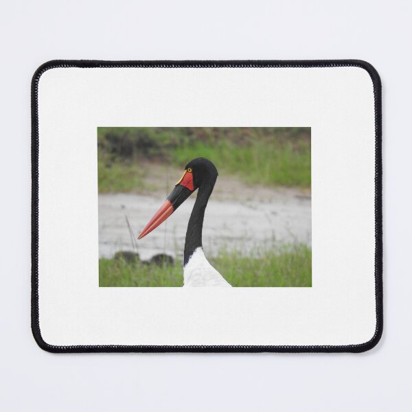 Item preview, Saddle Billed Stork designed and sold by Faunagraphy360.