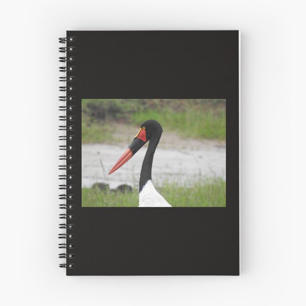 Item preview, Saddle Billed Stork designed and sold by Faunagraphy360.