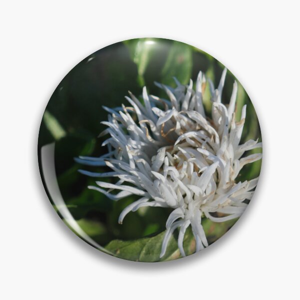 Item preview, White cornflower designed and sold by jasminewang.
