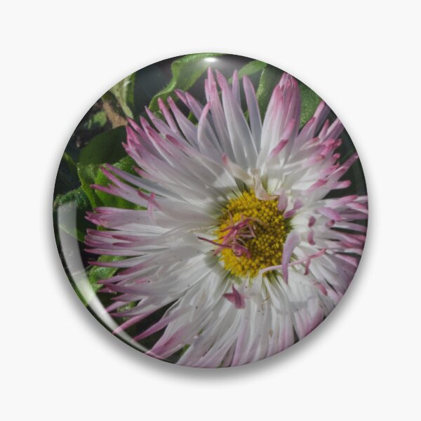 Item preview,  Daisy designed and sold by jasminewang.