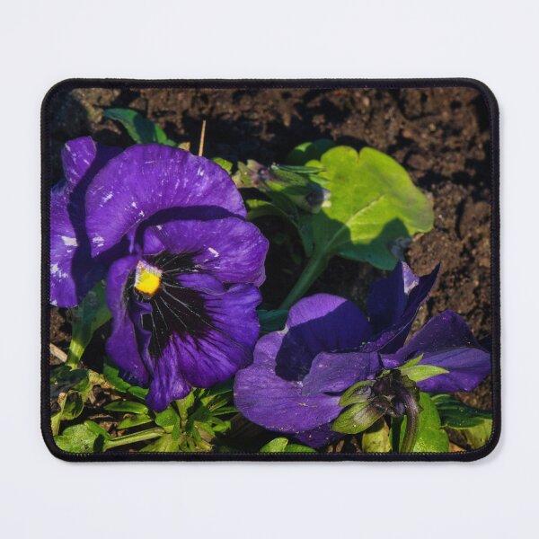 Item preview, Blue Blotch Pansy  designed and sold by jasminewang.