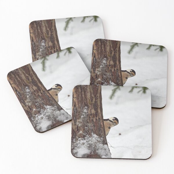 Item preview, Sneak peek. Great spotted woodpecker designed and sold by Jouko Lehto Photography.
