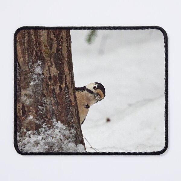Item preview, Sneak peek. Great spotted woodpecker designed and sold by Jouko Lehto Photography.