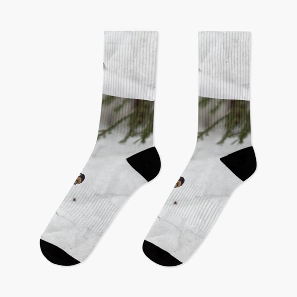 Item preview, Sneak peek. Great spotted woodpecker designed and sold by Jouko Lehto Photography.