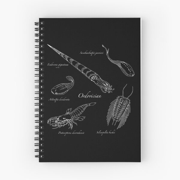 Item preview, Ordovician Life (Hand Writing Style Font) designed and sold by DavidNeffArt.