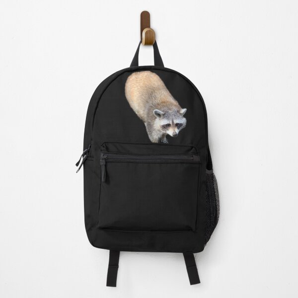 Item preview, Sweet raccoon designed and sold by MetallenaLux.