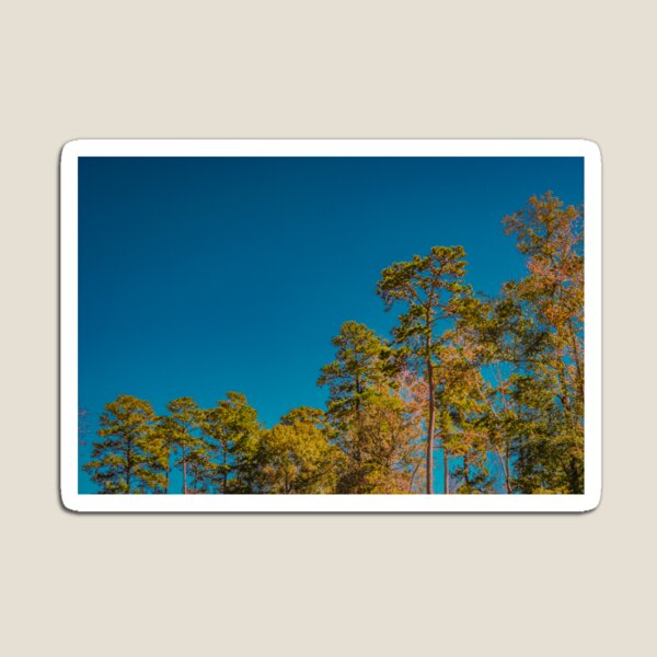 Item preview, What's the Angle? designed and sold by Kristin Patoni.