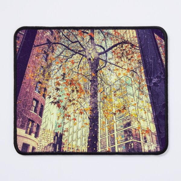 Item preview, Fall Thought the Window designed and sold by jvnimages.