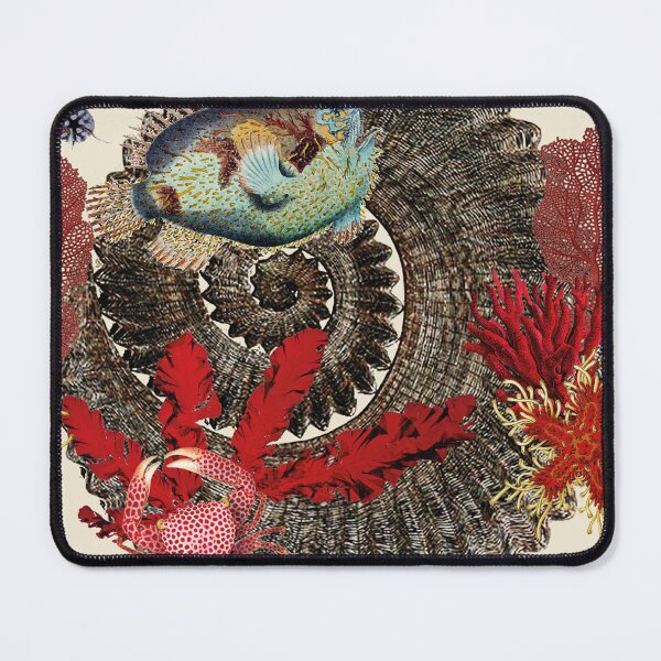Item preview, PORCELAIN CRAB designed and sold by Dagagi.