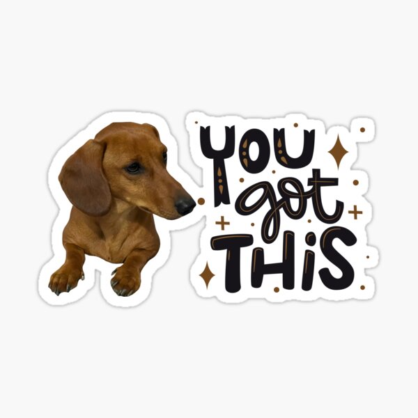 Item preview, You Got This Dachshund designed and sold by coolpixeltik.