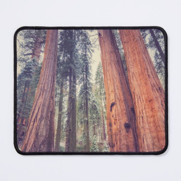Item preview, Giant Sequoias designed and sold by jvnimages.