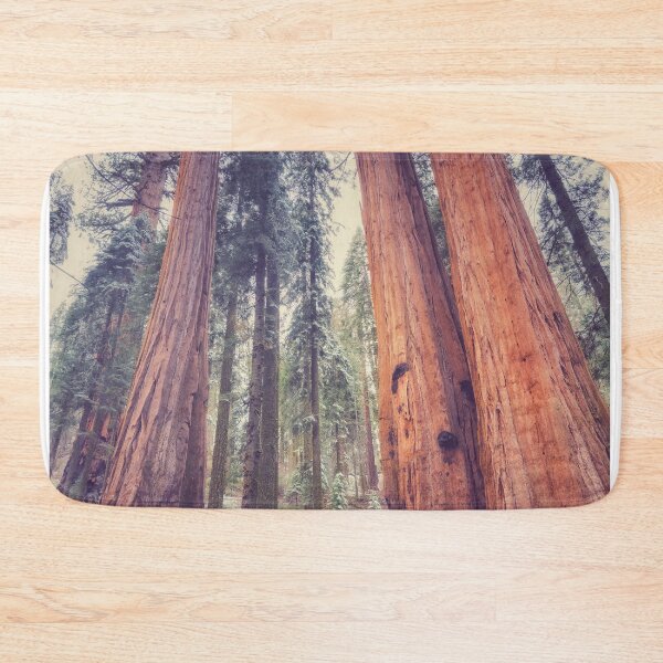 Item preview, Giant Sequoias designed and sold by jvnimages.