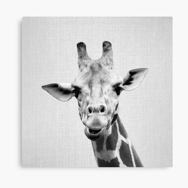Item preview, Giraffe - Black & White designed and sold by galdesign.