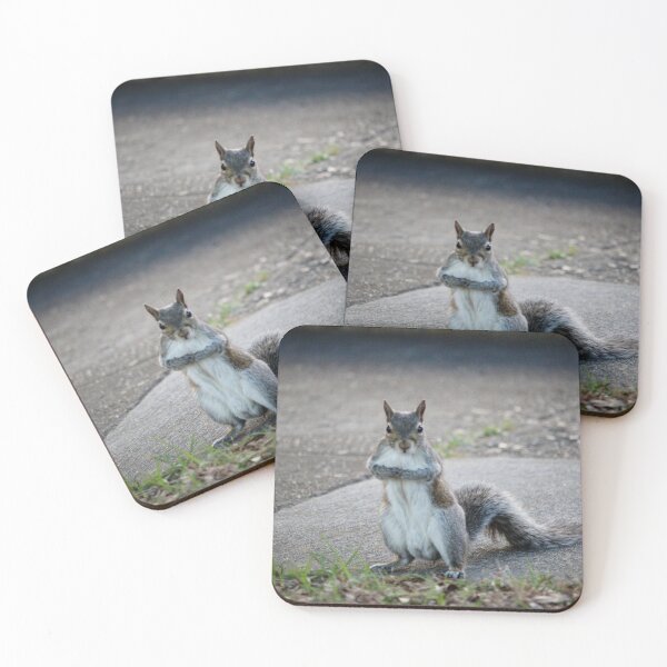 Item preview, Sweet Squirrel  designed and sold by Cynthia48.