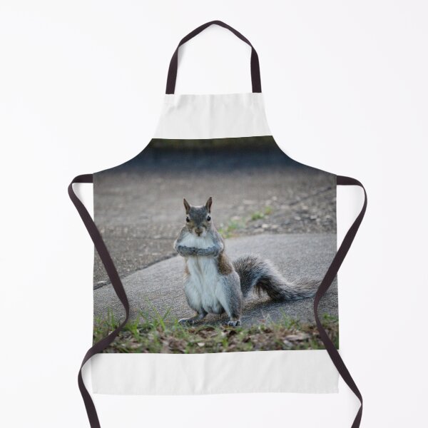 Item preview, Sweet Squirrel designed and sold by Cynthia48.