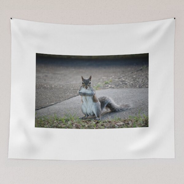 Item preview, Sweet Squirrel  designed and sold by Cynthia48.