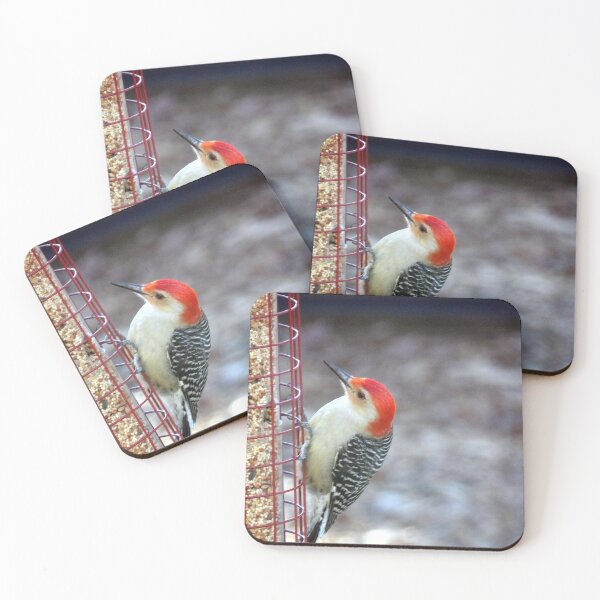 Item preview, Red-bellied Woodpecker Getting a Snack designed and sold by gistinker.