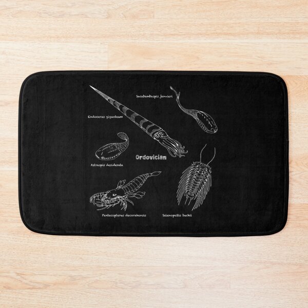 Item preview, Ordovician Life (Chalkboard Style Font) designed and sold by DavidNeffArt.