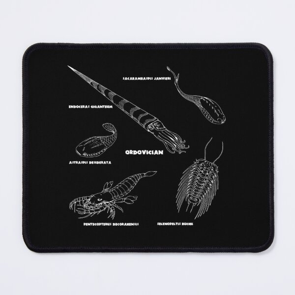 Item preview, Ordovician Life (Brush Stroke Style Font) designed and sold by DavidNeffArt.