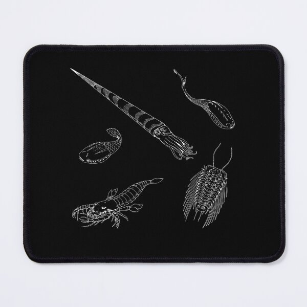 Item preview, Ordovician Life (No Font) designed and sold by DavidNeffArt.