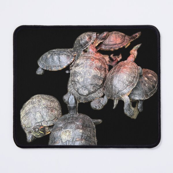 Item preview, Real Turtles designed and sold by MetallenaLux.