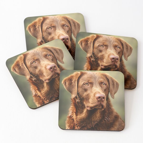Item preview, Chesapeake Bay Retriever (Design 2) designed and sold by Samuelsboro.