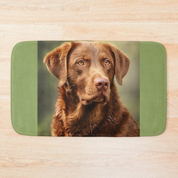 Item preview, Chesapeake Bay Retriever (Design 2) designed and sold by Samuelsboro.