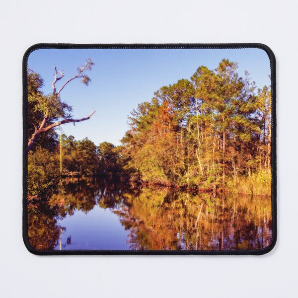Item preview, Autumn On the Bayou designed and sold by Kay Brewer.